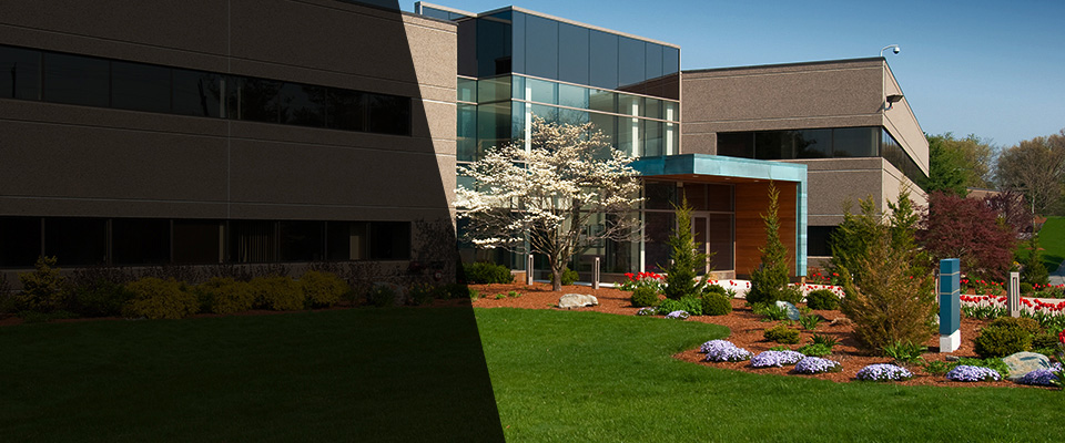 Green Forest Landscapers