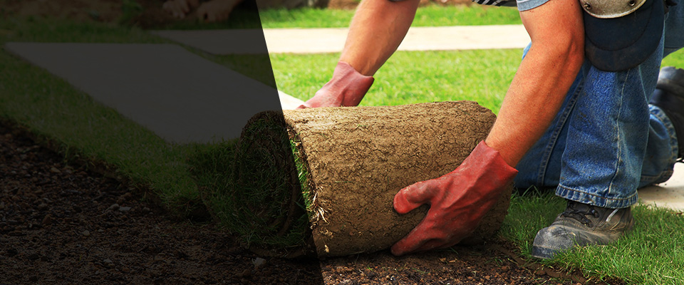 Green Forest Landscapers